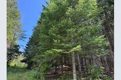M5L15 Off Alexander Road, Van Buren, ME 04785 - Photo 17