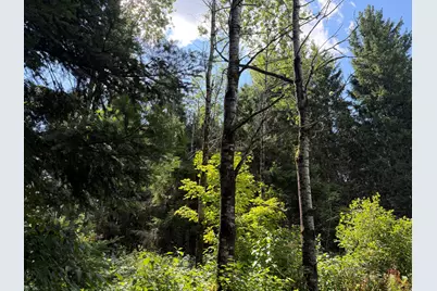 M5L15 Off Alexander Road, Van Buren, ME 04785 - Photo 5