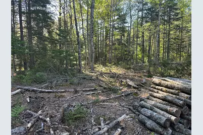 61 Gerards Trail, Blue Hill, ME 04614 - Photo 3
