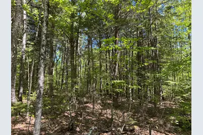 Lot 16 Commons Dr Drive, Bridgton, ME 04009 - Photo 11