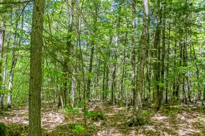 16 Beach View Road, Dover Foxcroft, ME 04426 - Photo 33