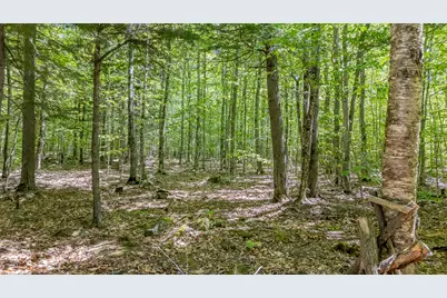 16 Beach View Road, Dover Foxcroft, ME 04426 - Photo 47