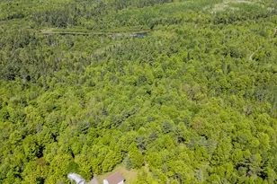 131 Gales Rd, Abbot, ME 04406 - Photo 103
