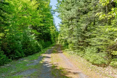 131 Gales Road, Abbot, ME 04406 - Photo 87