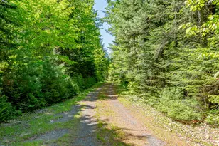131 Gales Rd, Abbot, ME 04406 - Photo 87