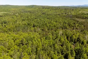131 Gales Rd, Abbot, ME 04406 - Photo 125