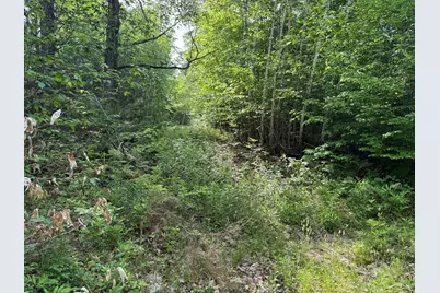 Lot 3 Albion Road, Unity, ME 04988 - Photo 9