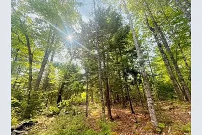 0000 Baker Brook Road, Bradley, ME 04411 - Photo 9