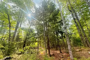 0000 Baker Brook Rd, Bradley, ME 04411 - Photo 9