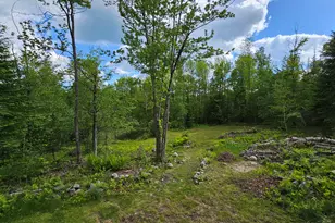271 Bigelow Rd, Saint Albans, ME 04971 - Photo 43