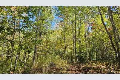 271 Bigelow Road, Saint Albans, ME 04971 - Photo 59