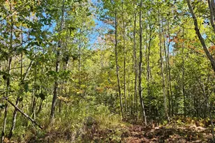 271 Bigelow Rd, Saint Albans, ME 04971 - Photo 59