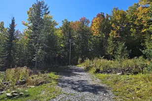271 Bigelow Rd, Saint Albans, ME 04971 - Photo 51