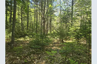 0 Boothbay Road, Edgecomb, ME 04556 - Photo 9
