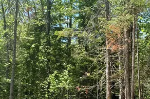 60 Alton Tannery Rd, Hudson, ME 04449 - Photo 29