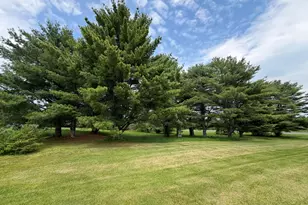 365 Garfield Rd, Garfield Plantation, ME 04732 - Photo 29