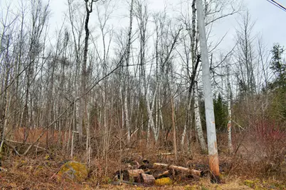 L 72,Po 90 Cotta Lane & Rt 43 (L90), Saint Albans, ME 04971 - Photo 11
