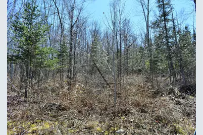 L 72,Po 90 Cotta Lane & Rt 43 (L90), Saint Albans, ME 04971 - Photo 23