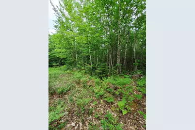 Lot 50 (Map 14), Andover, ME 04216 - Photo 1
