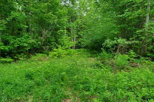 Lot 50 (Map 14), Andover, ME 04216 - Photo 1