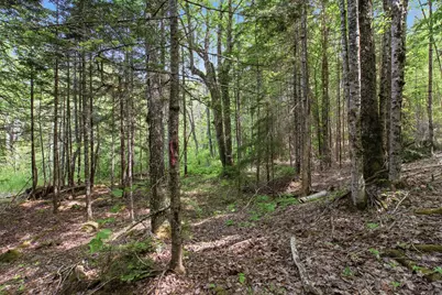 10 Sunrise Way, Whiting, ME 04691 - Photo 5
