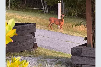 40 Skyline Drive, Holden, ME 04429 - Photo 5