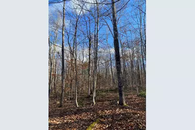 Lot 023 Pleasant Ridge Road, Dexter, ME 04930 - Photo 1