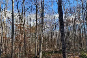 Lot 023 Pleasant Ridge Rd, Dexter, ME 04930 - Photo 1