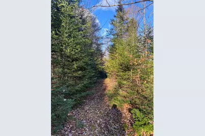 Lot 023 Pleasant Ridge Road, Dexter, ME 04930 - Photo 5