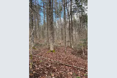 Lot 023 Pleasant Ridge Road, Dexter, ME 04930 - Photo 7