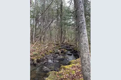 Lot 023 Pleasant Ridge Road, Dexter, ME 04930 - Photo 5