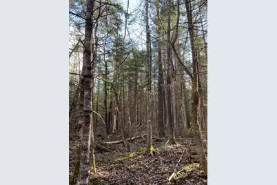 Lot 023 Pleasant Ridge Road, Dexter, ME 04930 - Photo 3