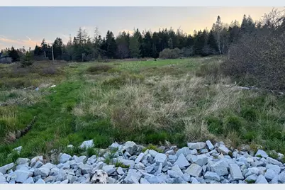 Lot #5 George Wright Road, Vinalhaven, ME 04863 - Photo 17