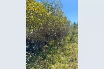 Lot #5 George Wright Road, Vinalhaven, ME 04863 - Photo 23