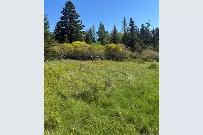 Lot #5 George Wright Road, Vinalhaven, ME 04863 - Photo 21