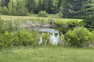 328 Clark Road Rd, Merrill, ME 04780 - Photo 53