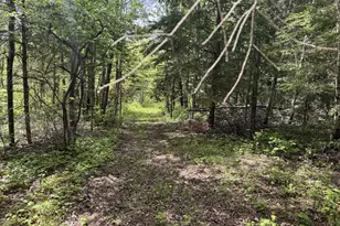 328 Clark Road Rd, Merrill, ME 04780 - Photo 65