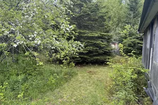 328 Clark Road Rd, Merrill, ME 04780 - Photo 47