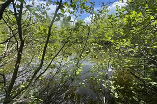 328 Clark Road Rd, Merrill, ME 04780 - Photo 41
