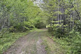 328 Clark Road Rd, Merrill, ME 04780 - Photo 63