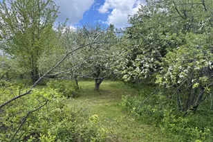 328 Clark Road Rd, Merrill, ME 04780 - Photo 39