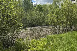 328 Clark Road Rd, Merrill, ME 04780 - Photo 51