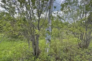 328 Clark Road Rd, Merrill, ME 04780 - Photo 51