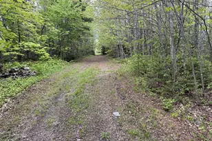 328 Clark Road Rd, Merrill, ME 04780 - Photo 53
