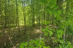 285 Retreat Rd, Hersey, ME 04765 - Photo 7