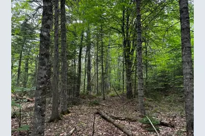 46 Dore Hill Road, Athens, ME 04912 - Photo 13