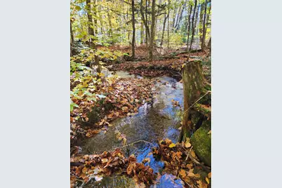 Off Willigar Road, Island Falls, ME 04747 - Photo 5