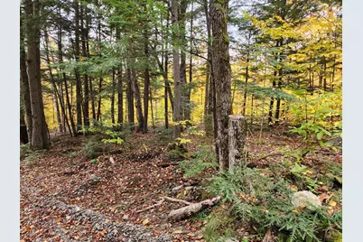 Off Willigar Road, Island Falls, ME 04747 - Photo 9