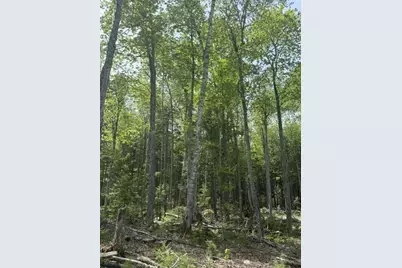 Lot #17 Sunset Cove Way, Orland, ME 04472 - Photo 7