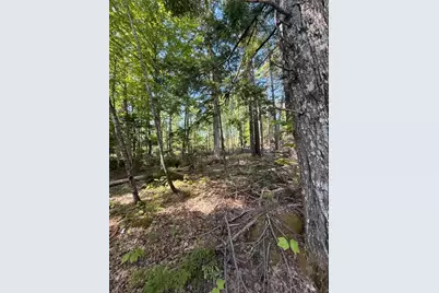 Lot #17 Sunset Cove Way, Orland, ME 04472 - Photo 9
